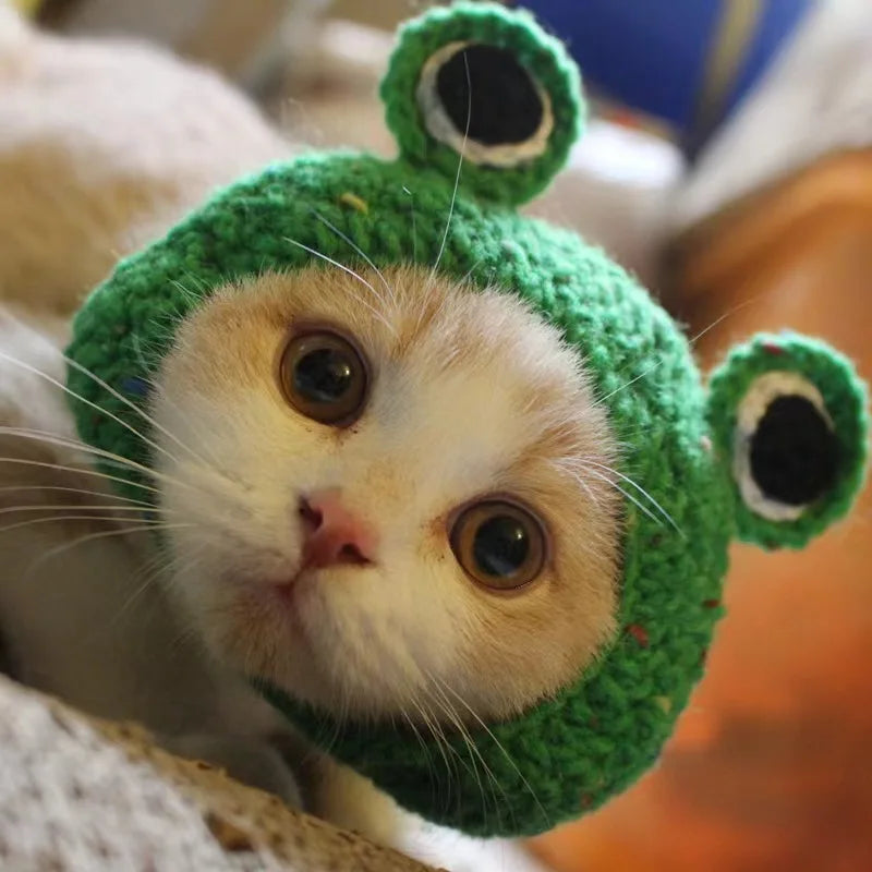 Funny Pet Cat Lion Hat Bunny Ears Frog Bear Costume Accessories Cute Headwear for Cats gatos accesorios