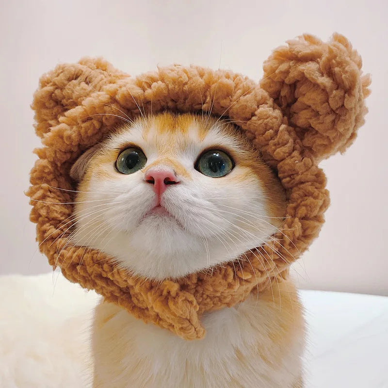 Funny Pet Cat Lion Hat Bunny Ears Frog Bear Costume Accessories Cute Headwear for Cats gatos accesorios