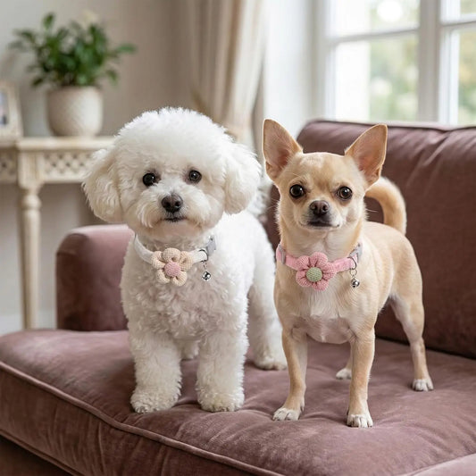 2 Pack Small Floral Dog Collar with Bell, Puppy Collar with Bell and Flower Adjustable Dog Collars Soft Safety Pet Collars