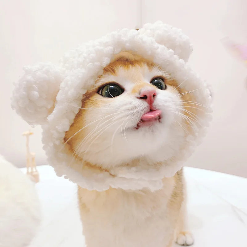 Funny Pet Cat Lion Hat Bunny Ears Frog Bear Costume Accessories Cute Headwear for Cats gatos accesorios