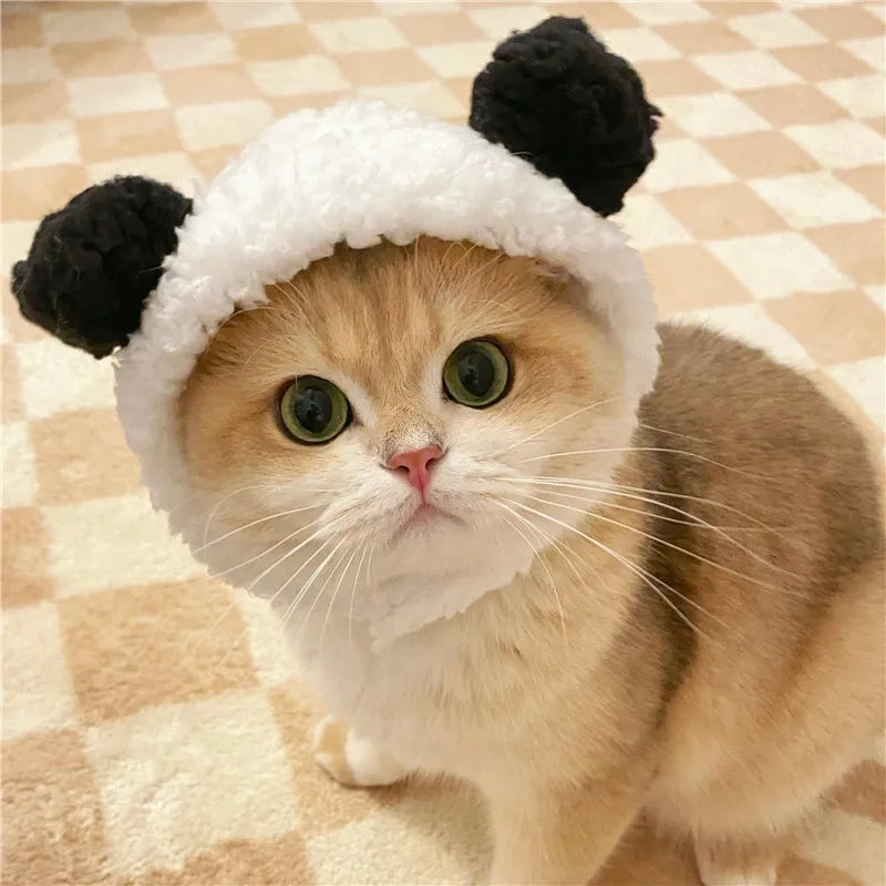 Funny Pet Cat Lion Hat Bunny Ears Frog Bear Costume Accessories Cute Headwear for Cats gatos accesorios